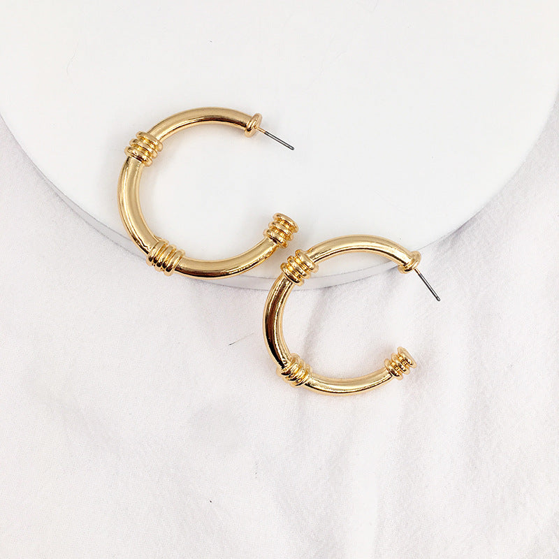 Vienna Verve Geometric Alloy Earrings for Women