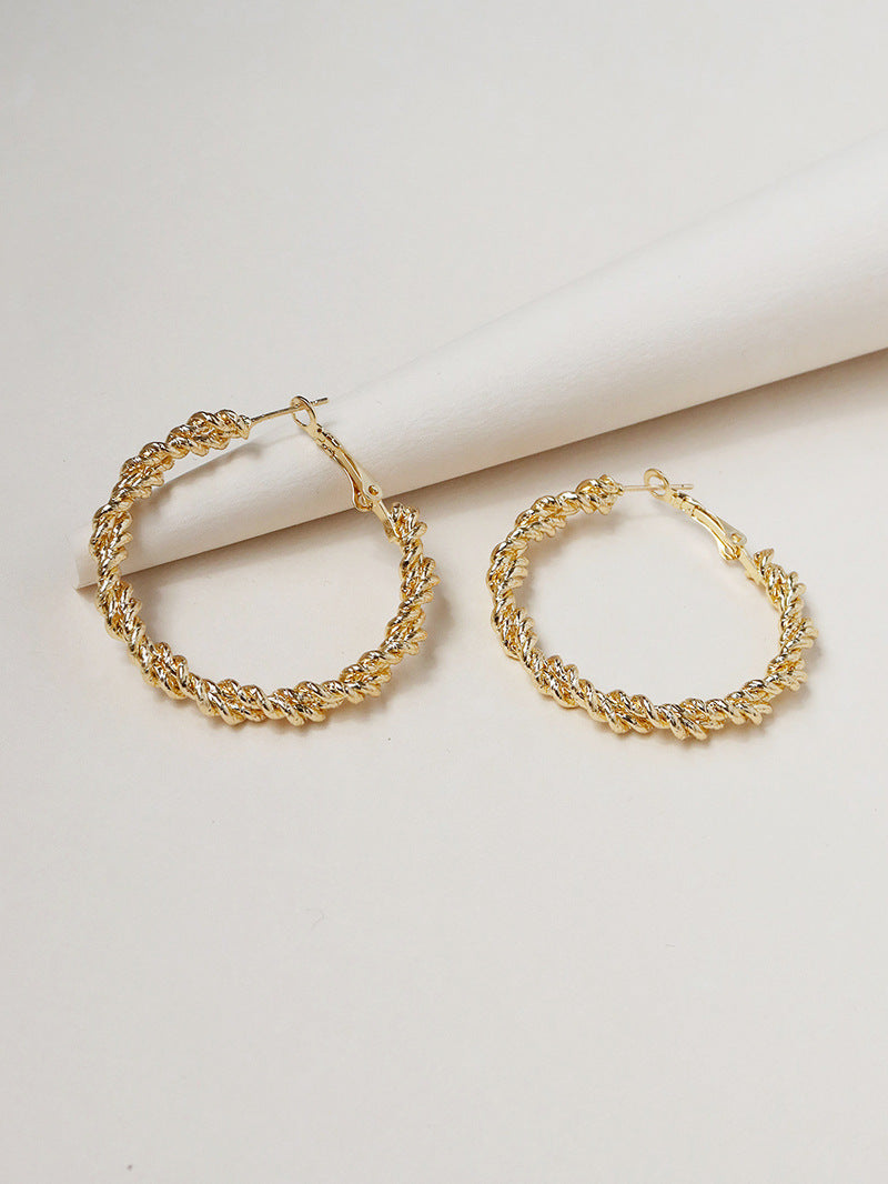 Metallic Elegance Geometric Circle Earrings