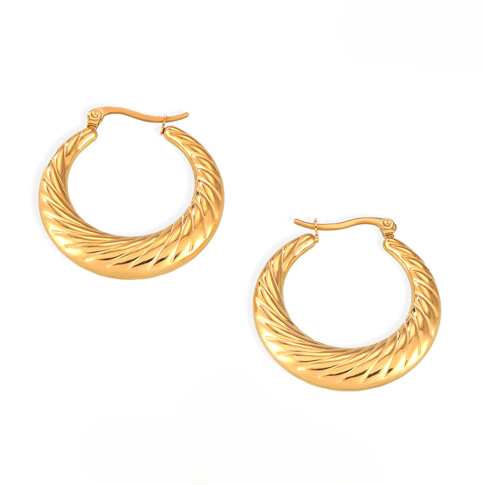 Chic Geometric Twisted Texture Earrings in Titanium Gold Plating