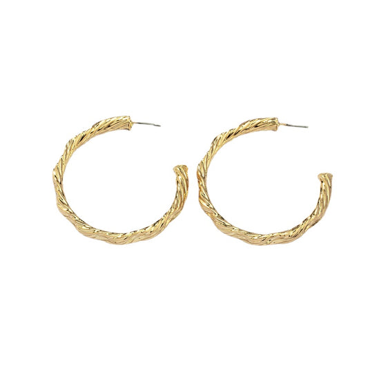 Cross-Border Metal Texture Earrings - Vienna Verve Collection