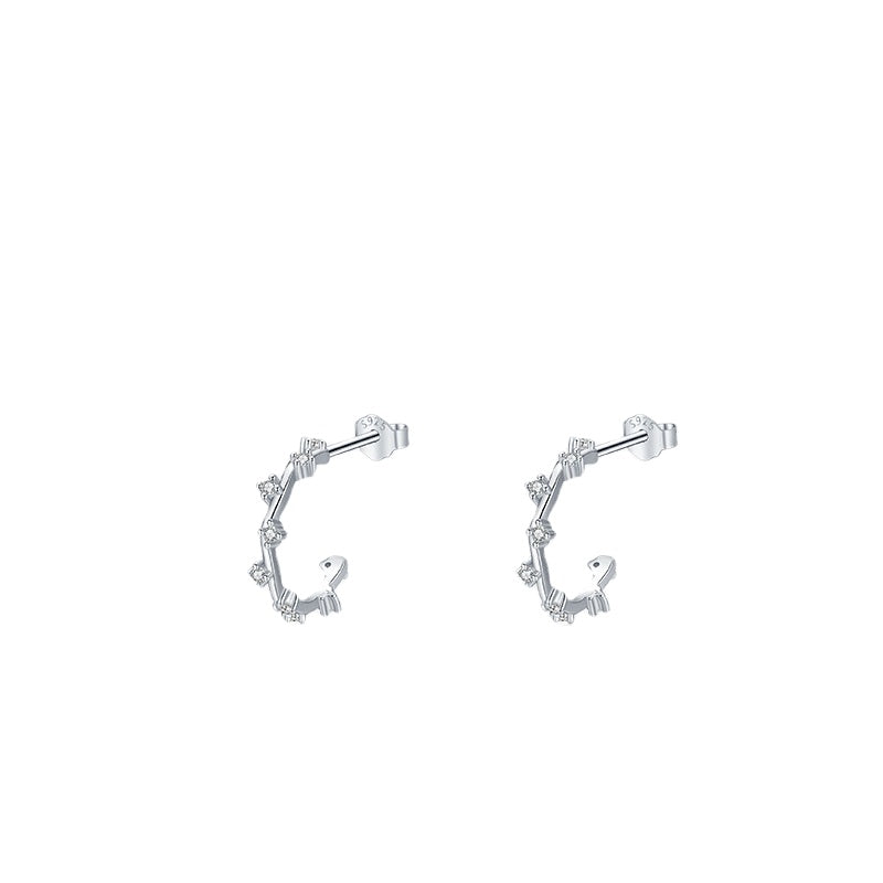 Chic Sterling Silver Zircon Earrings for Women