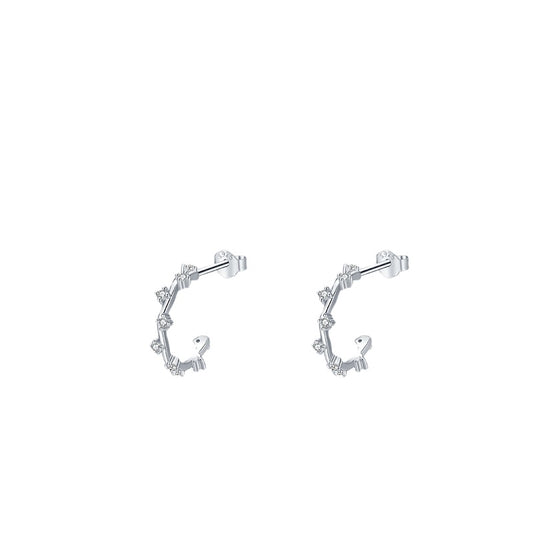 Chic Sterling Silver Zircon Earrings for Women