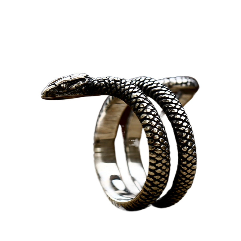 Titanium Steel Serpentine Ring for Men - Wholesale Cross-Border Jewelry from Planderful