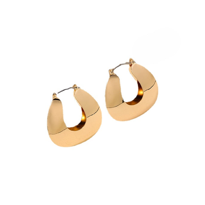 Exaggerated Geometry Metal Ring Earrings Set for Women - Vienna Verve Collection