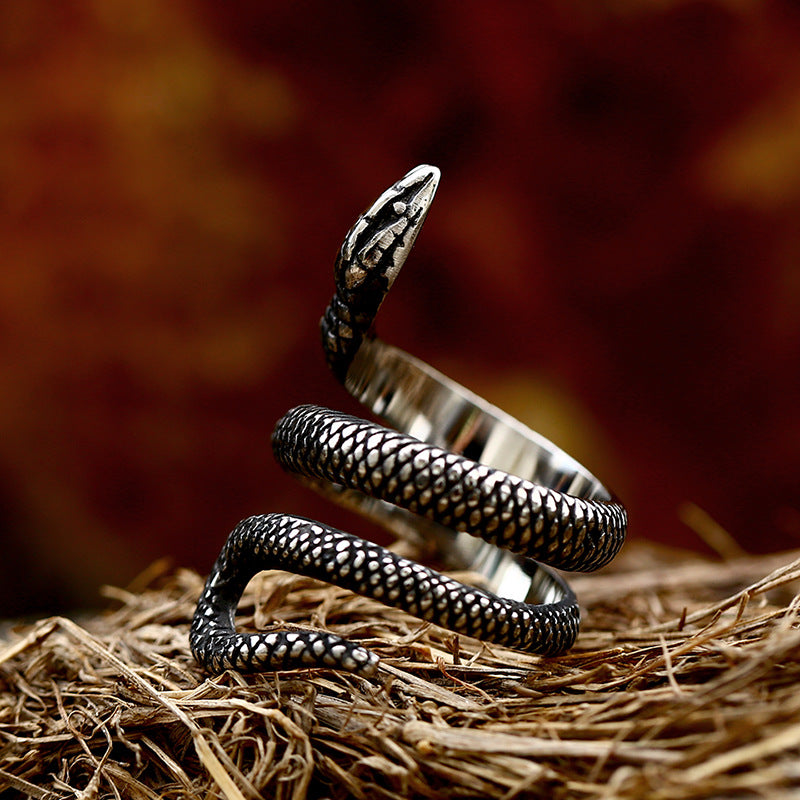 Titanium Steel Serpentine Ring for Men - Wholesale Cross-Border Jewelry from Planderful