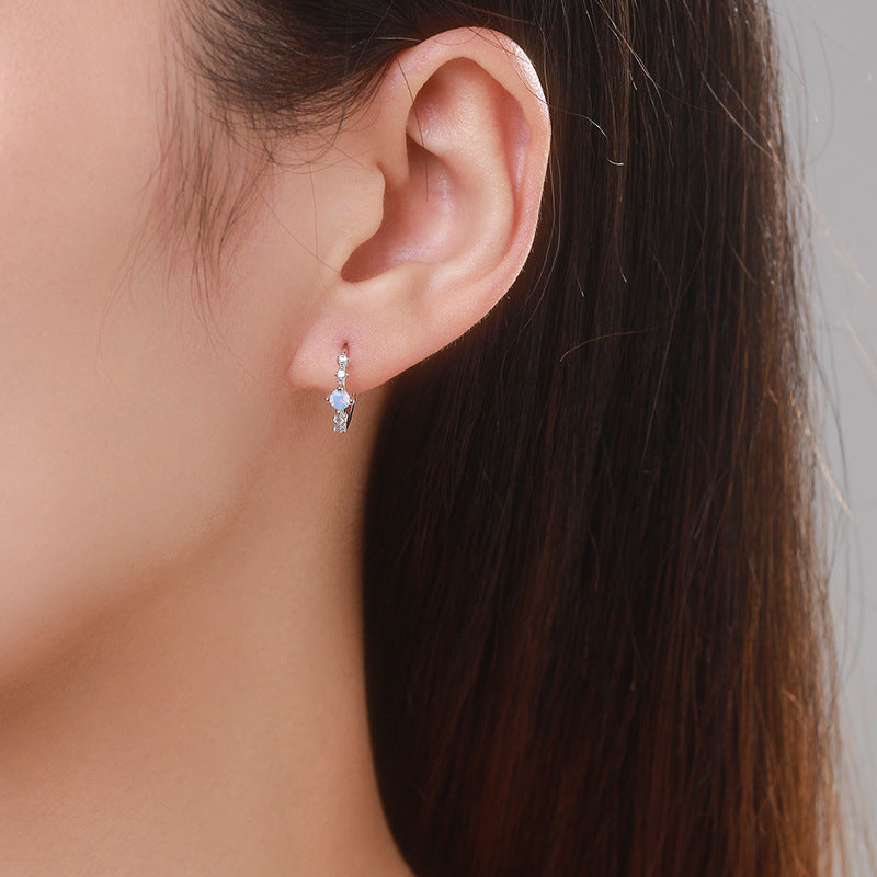 S925 Pure Silver Crystal Zircon Earrings with Unique Japanese Small Fresh Design by Planderful Collection