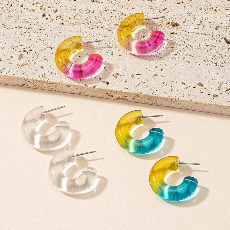 Colorful Acrylic Earrings Set with Transparent Niche Design - Vienna Verve Earrings