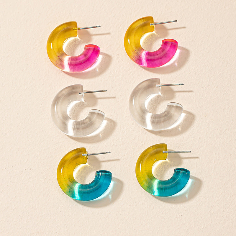 Colorful Acrylic Earrings Set with Transparent Niche Design - Vienna Verve Earrings