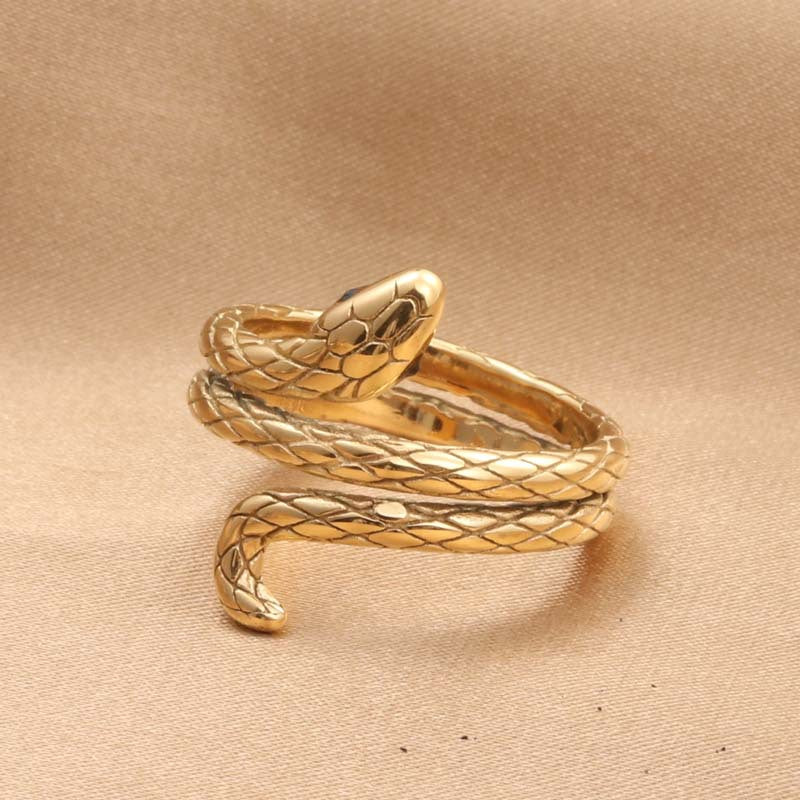 Titanium Steel Retro Snake Ring for Men - Stylish Animal Design Jewelry