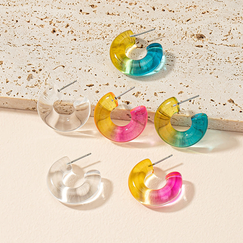 Colorful Acrylic Earrings Set with Transparent Niche Design - Vienna Verve Earrings