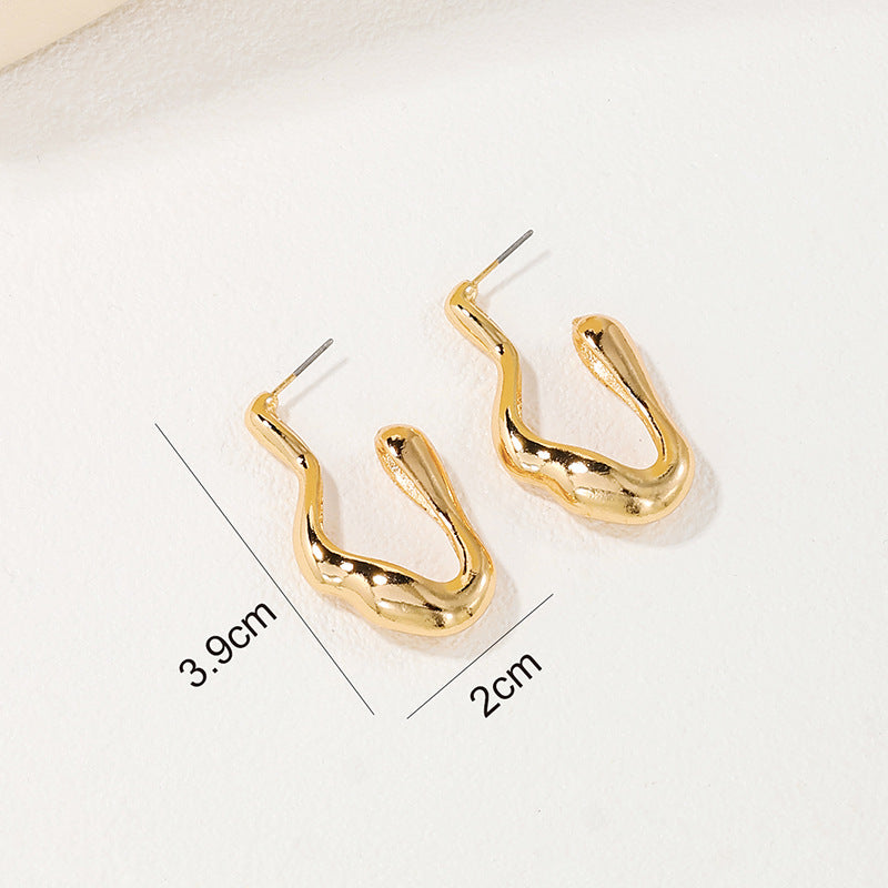 Chic Vienna Verve Metal Earrings for Women - Wholesale Minimalist Ear Accessories