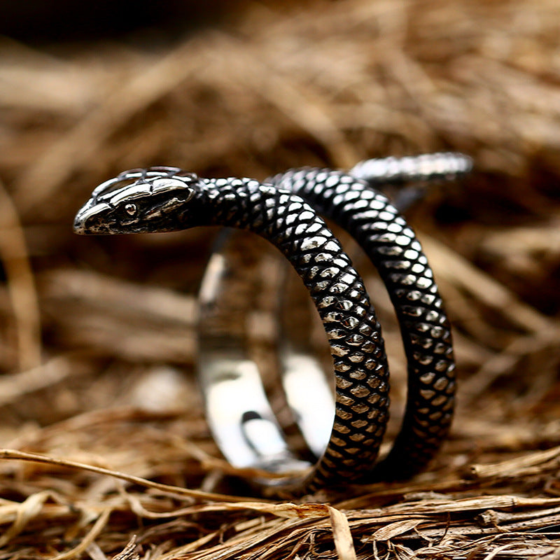 Titanium Steel Serpentine Ring for Men - Wholesale Cross-Border Jewelry from Planderful