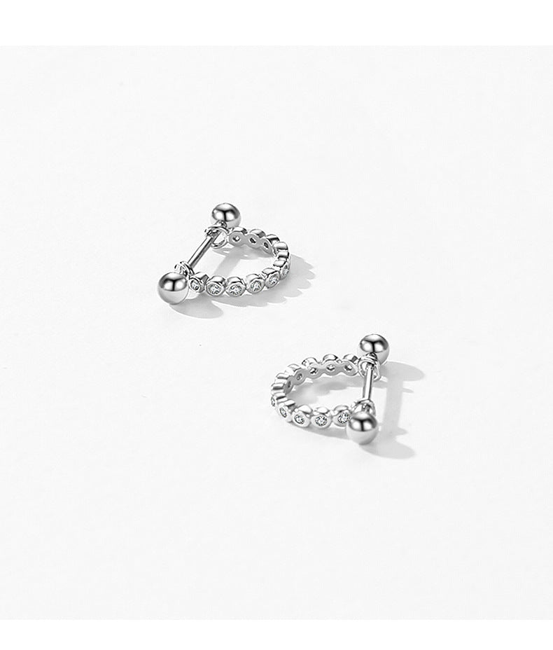 Elegant S925 Sterling Silver Zircon Micro-Inlaid Earrings