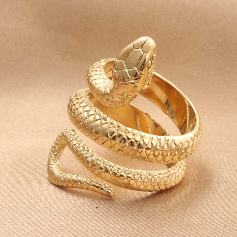 Titanium Steel Retro Snake Ring for Men - Stylish Python Design Jewelry