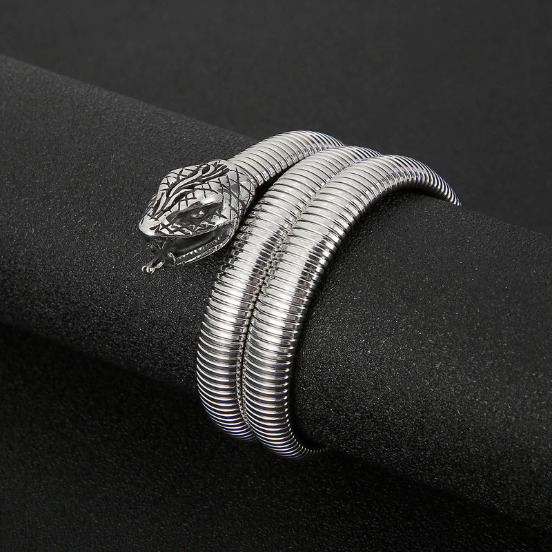 Creative Snake-Shaped Titanium Steel Bracelet for Men - European and American Hipster Fashion Jewelry