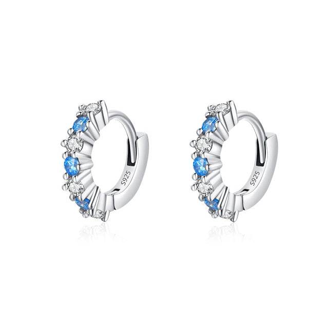 Niche Design Sterling Silver Zircon Earrings