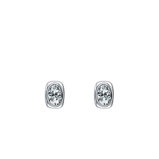 Exquisite S925 Sterling Silver Earrings with Simulated Diamonds and Zircon