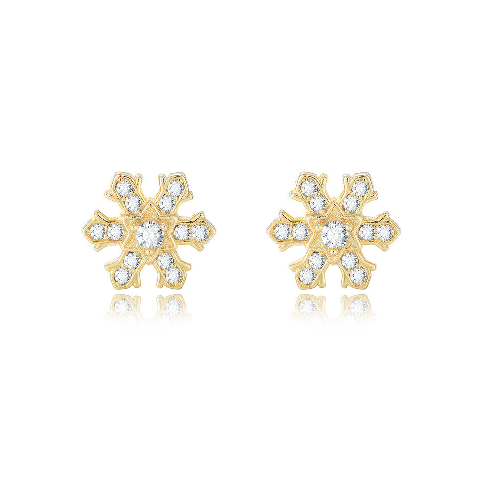 Zircon Snowflake Series Silver Studs Earrings for Women