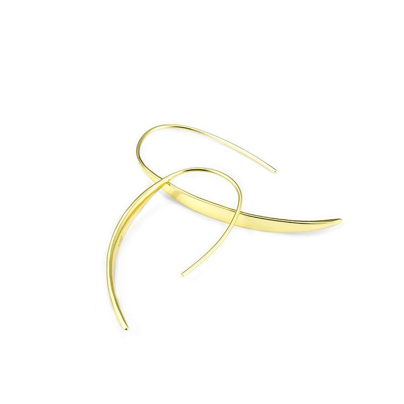 Simple Glossy Silver Hook Earrings for Women