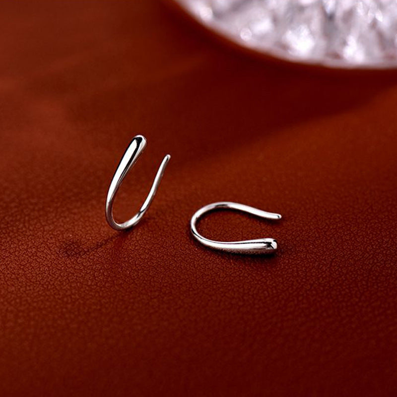 Small Drop Silver Hook Earrings for Women