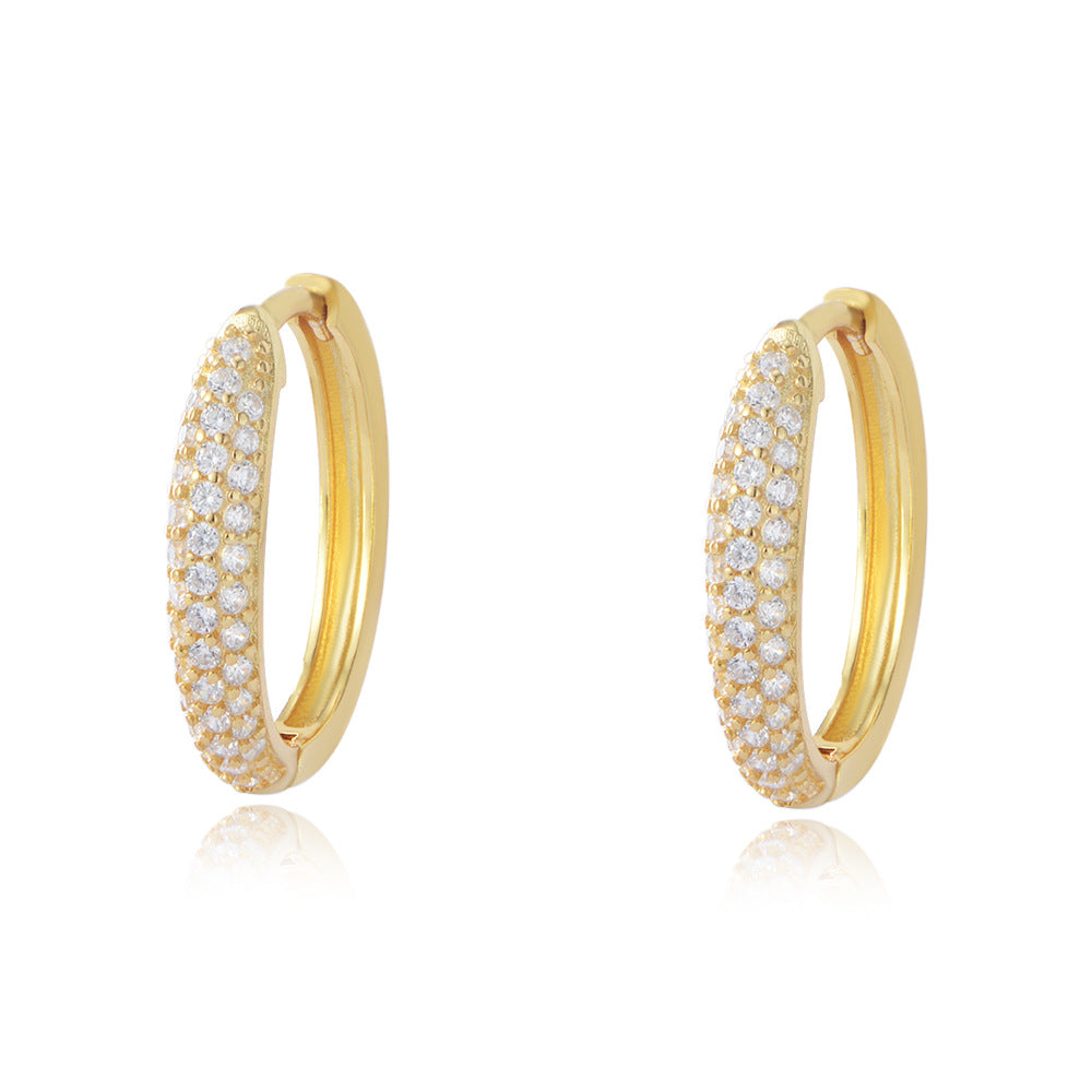 Zircon Circle Silver Studs Earrings for Women