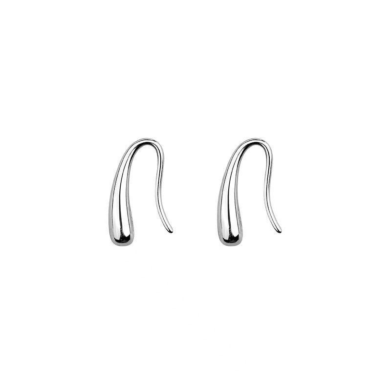 Small Drop Silver Hook Earrings for Women