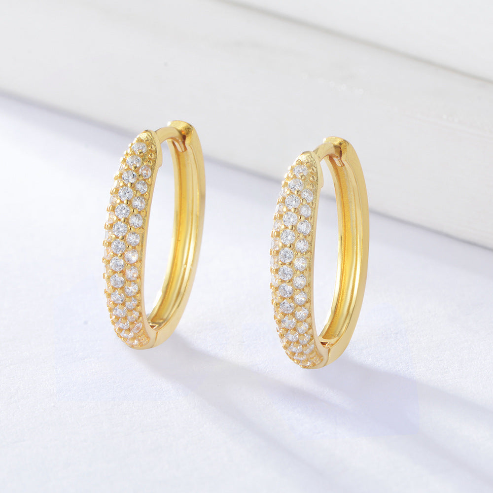 Zircon Circle Silver Studs Earrings for Women