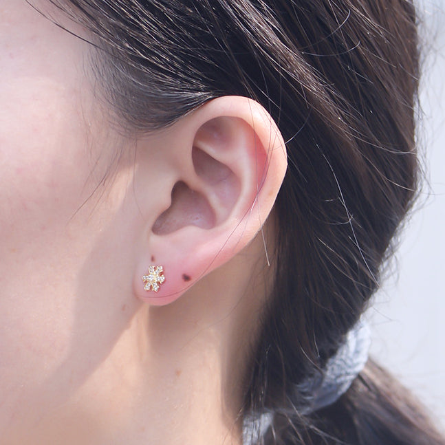 Zircon Snowflake Series Silver Studs Earrings for Women